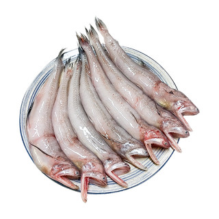 舟山特产龙头鱼新鲜豆腐鱼海鲜鲜活冷冻水产九肚鱼生鲜水潺3斤装
