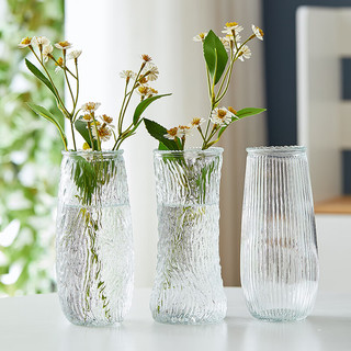 哥尔摩 浮雕玻璃花瓶水养干花富贵竹花瓶ins北欧客厅桌面装饰摆件 小号大肚水波纹  中等