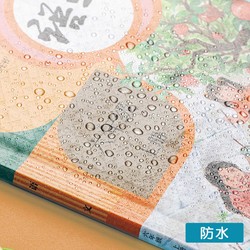 deli 得力 透明包书皮 中号10张