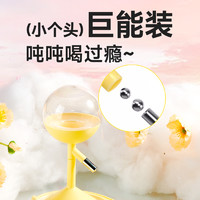 yee 意牌 仓鼠饮水器水樽微光水壶防漏喂水器金丝熊自动滚珠喝水器支架