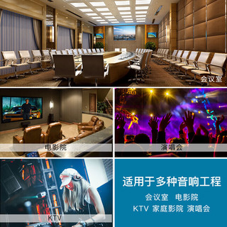 先科（SAST） X-40 KTV吸顶壁挂公共广播音响家庭影院音响线 50芯