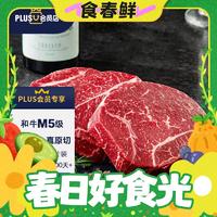 FRESH·FOUR SEASONS 淳鲜四季 X 京东 牛排原切和牛M5肉芯1.2kg 谷饲400天