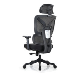 菲迪-至成 FD·MONSTER F181 人体工学椅 海绵座垫+2D扶手3D腰托-黑升级版