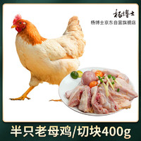 杨博士 高山散养农家土鸡老母鸡切块鸡 半只切块老母鸡400g源头直发