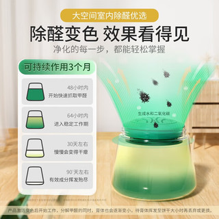XIWANGSHU 希望树 foh小绿罐二代自主除甲醛果冻甲醛新家强力型克星除醛魔盒 二代果冻6罐+检测盒2
