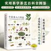 当当网 中国茶入门图鉴 从喝茶到懂茶的中国茶文化手册茶艺百科