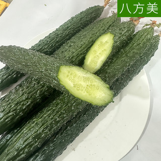 八方美 寿光新鲜蔬菜现摘现发带刺长黄瓜生吃绿色果蔬5斤