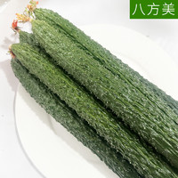 八方美 寿光新鲜蔬菜现摘现发带刺长黄瓜生吃绿色果蔬5斤