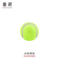 番易 宠物玩具球  训练网球1个(颜色随机)