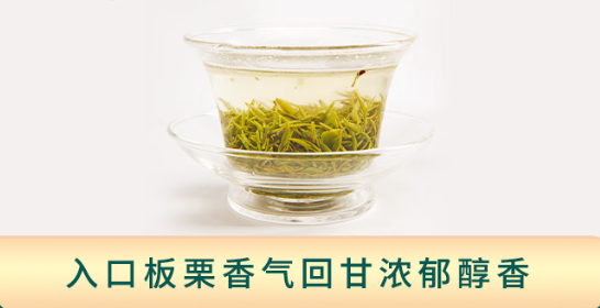 2024年新茶、条形均匀，色泽嫩绿：LONG TAN 龍潭 信阳毛尖明前茶 1913系列 160g 礼盒装