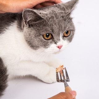 爱丽思猫罐头金枪鱼鸡肉蟹肉猫零食营养湿粮拌饭混合爱丽丝猫罐 【混合口味】85g*12罐