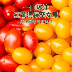 胡鲜森 红黄双拼组合圣女果新鲜小番茄西红柿应季