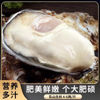 秒杀1000单！乳山生蚝 5XL特大号 5.5斤装 （带官方溯源防伪标识、死蚝包赔）