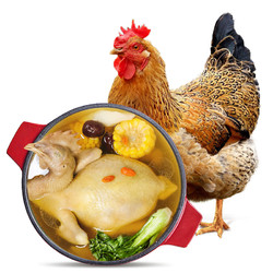 温氏食品 温氏老母鸡农村土鸡散养母鸡1.2kg慢养500天龄走地鸡月子鸡汤