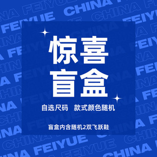 feiyue/飞跃惊喜盲盒福袋 2双鞋 尺码可选 款式