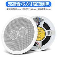 SAST 先科 S68双高音吸顶音响店铺专用低箱喇叭蓝牙背景天花嵌入式吊顶