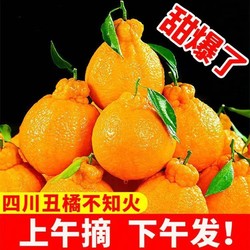 不知火丑橘橘子 新鲜孕妇水果桔子当季时令应季水果 9斤带箱（净重8.5） 大果75-80mm