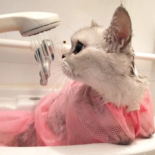 猫咪洗澡袋洗澡防抓防咬打疫苗剪指甲猫背包固定宠物清洁用品