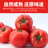 88VIP：哪咤豆豆 番茄生吃沙瓤西红柿2.5kg自然成熟新鲜蔬菜顺丰
