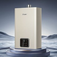 Rinnai 林内 智慧零冷水 RUS-16GD61R 燃气热水器 16升 天然气