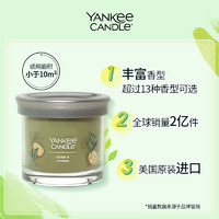 Yankee Candle 扬基 YankeeCandle扬基进口香薰蜡烛香氛家用卧室送女友伴手生日礼物