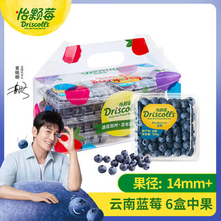 蓝莓 中果 125g*6盒