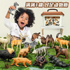 NUKied 纽奇 儿童仿真动物模型玩具套装 12只动物+12张卡片