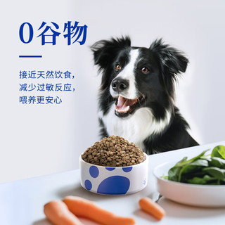 海洋之星全价成年期犬粮 鸡肉果蔬味 鸡肉果蔬味500g