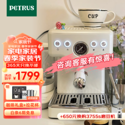 PETRUS 柏翠 咖啡机意式浓缩家用小型半自动蒸汽打奶泡 PE3833 海盐小方2.0