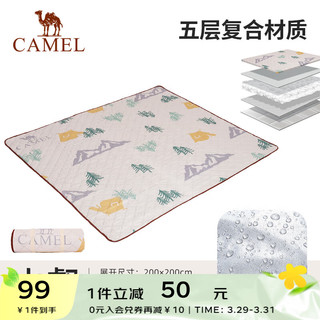 CAMEL 骆驼 户外野餐垫防潮垫春游草地野炊露营地垫户外垫子沙滩垫装备用品 173CALP119，山壑