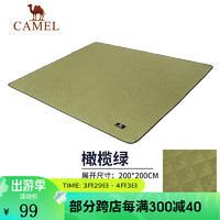 CAMEL 骆驼 户外野餐垫郊游防水野餐布加厚便携春游垫子帐篷防潮垫草地垫 1J32250523，橄榄绿