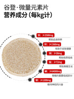 88VIP：GOLDEN 谷登 宠物微量元素片狗复合维生素400片防异食癖幼犬猫咪泰迪通用