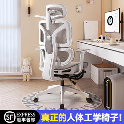 人体工学椅子护腰电脑椅家用舒适久坐电竞椅子男生可躺办公室座椅