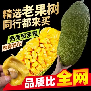 雪束 海南黄肉菠萝蜜整果  精选13-17斤（1个果）