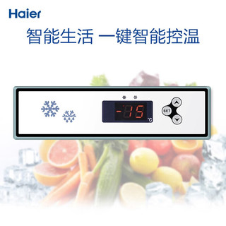 海尔（Haier）商用厨房冰箱全冷冻全铜全钢四门四开门大容量酒店饭店餐厅食堂保鲜不锈钢SL-1050D4