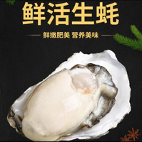 秒杀 1000单！乳山生蚝 XXXL号 5.5斤装 顺丰冷链（带官方溯源防伪标识、死蚝包赔