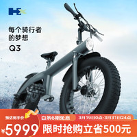 HX 欢喜Q3越野山地电动自行车助力超强续航电池可拆卸大轮胎减震代步 经典灰七档变速