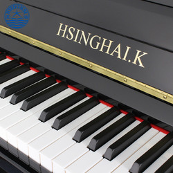 Xinghai 星海 北京星海立式钢琴全新儿童家用练习成人专业考级演奏实木凯旋K120