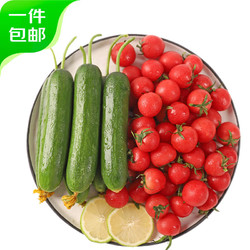 京百味 山东小黄瓜圣女果组合 4.5斤 小西红柿 新鲜蔬菜 企业专享价