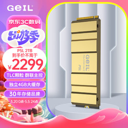 GeIL 金邦 2TB SSD固态硬盘 M.2接口(PCIe 5.0 x4)NVMe SSD游戏高性能版 高速12000MB/S P5L系列