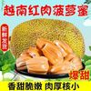 越南 红肉菠萝蜜 大果9-10斤