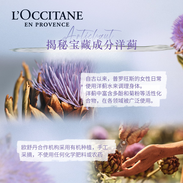 L'OCCITANE 欧舒丹 洋蓟味身体按摩霜 200ml（赠 随机礼袋+护发素 75ml+派对拉旗）