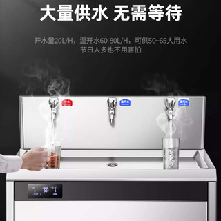 苏勒直饮水机商用开水器大型全自动直饮机不锈钢过净水一体   台式一开两温（220V/3KW）