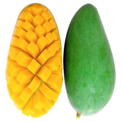 七叶岛新鲜采摘大青芒果热带新鲜水果精品大青芒5斤装单果1斤以上