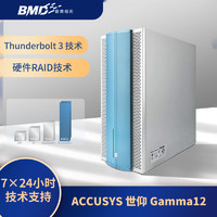 ACCUSYS 世仰 Gamma 12盘雷电3非编磁盘阵列柜视频剪辑硬盘存储（216TB）