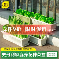STANLEY 史丹利 阳台种菜盆蔬菜专用家用花盆长方形室内园艺种植盆橄榄绿 1个装