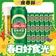  春焕新：青岛啤酒 经典 10度啤酒 500ml*18听（赠苏打水380ml*12瓶+扎杯*2）　