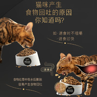 Gaines 佳乐滋 悦倍全价猫粮美毛减少回吐增强免疫主粮120g*2