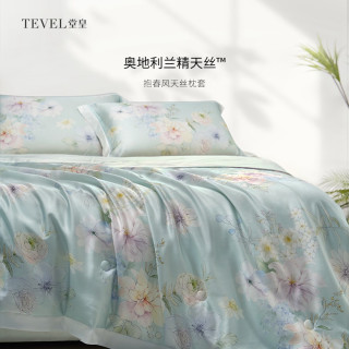 堂皇家纺60s兰精天丝印花枕套可水洗可机洗夏被同款枕套48x75cm一对装