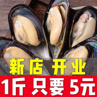 宏嘉睿大青口贝鲜活青口贝无沙大海虹贻贝当季鲜活淡菜贝类海产品 六斤（大号个个饱满） 当天捕捞直发